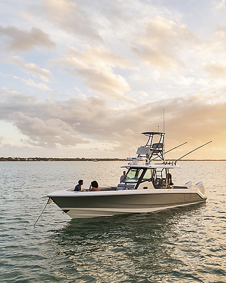 Revendeur Boston Whaler Bretagne