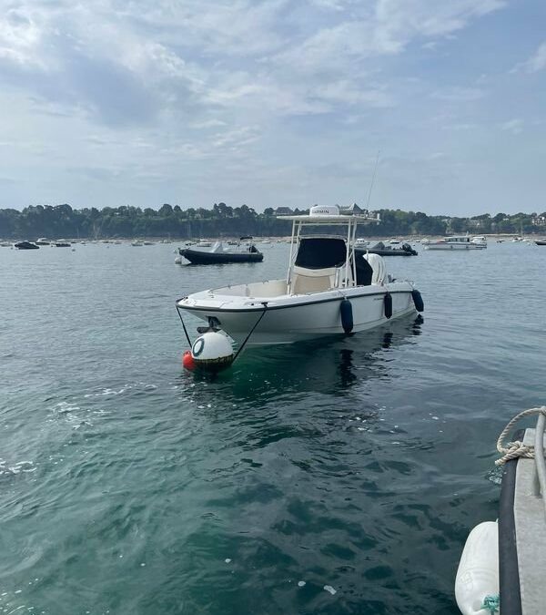 Boston Whaler 270 Dauntless occasion - West Marine Dinard