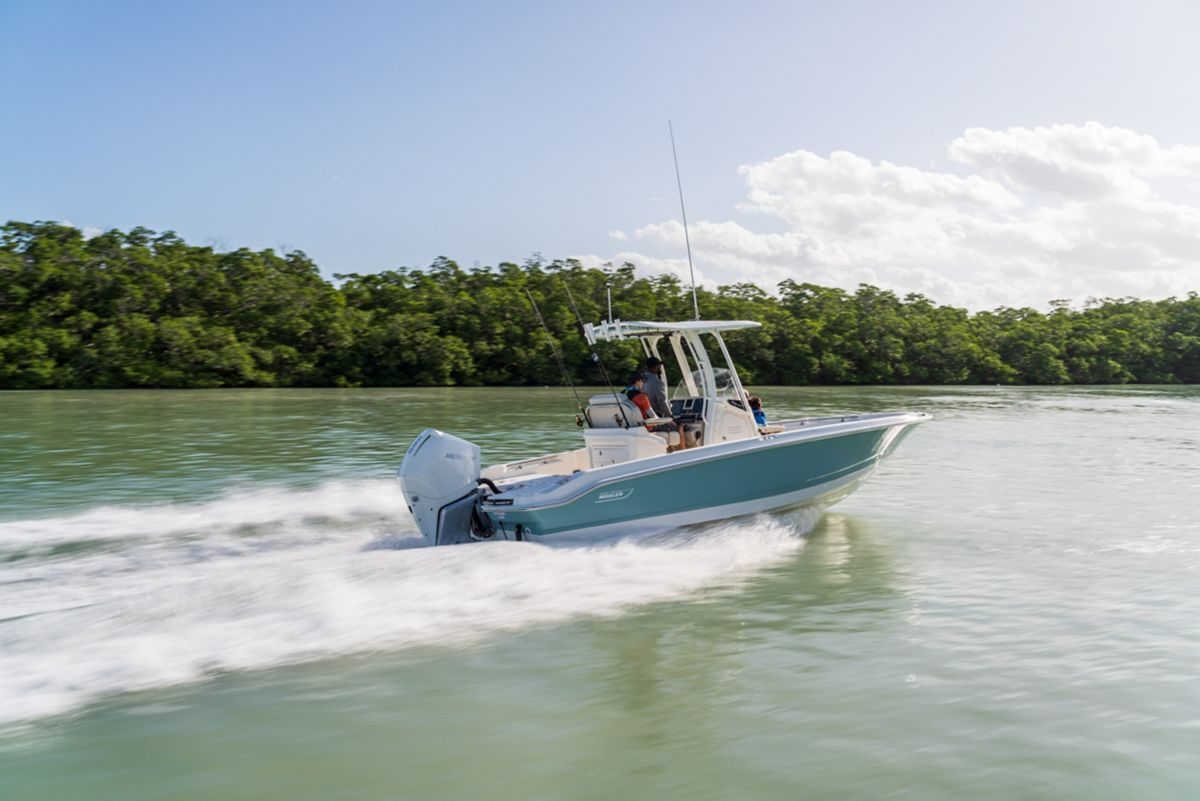 Boston Whaler 250 Dauntless
